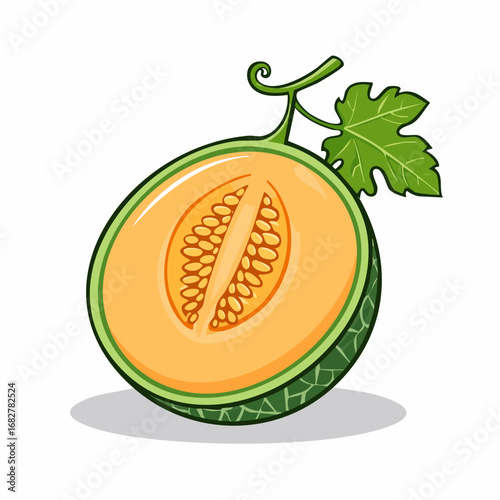 melon isolated white background taste melon with leaf full depth field with clipping p,vector illustration