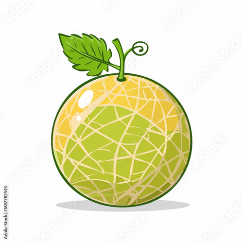 melon isolated white background taste melon with leaf full depth field with clipping path ,illustration vector