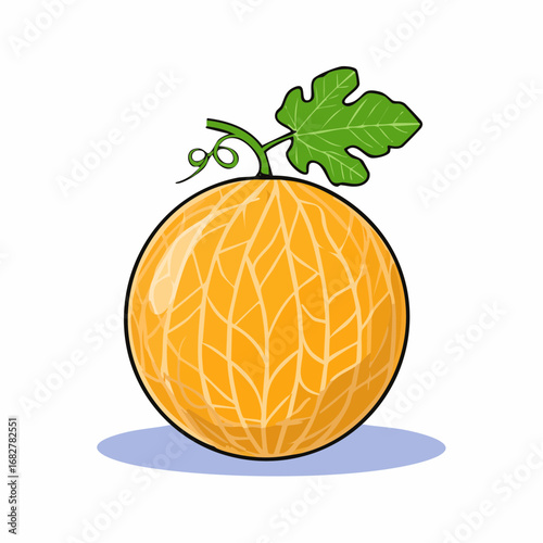 melon isolated white background taste melon with leaf full depth field with clipping p,vector svg