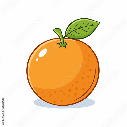 orange fruits isolated white background ,vector illustration