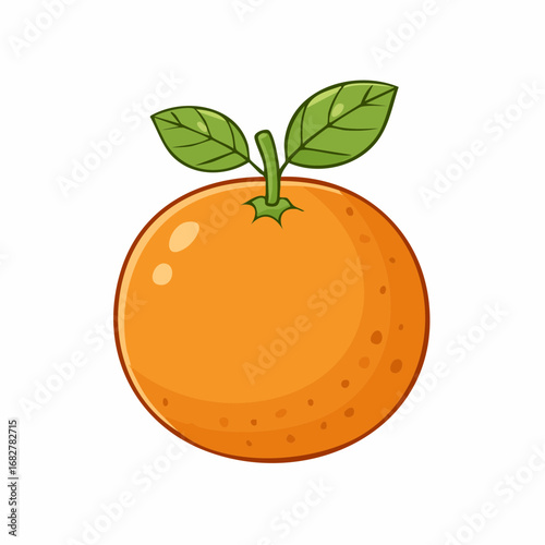 orange fruits isolated white background