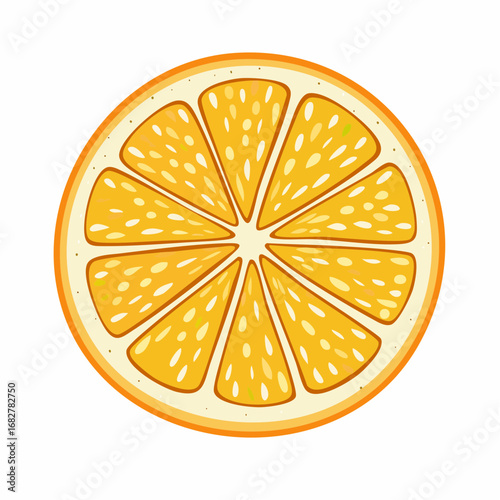 orange fruits slice isolated white ,vector svg
