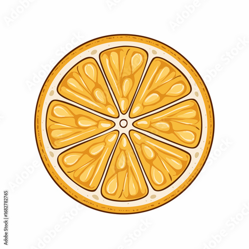 orange fruits slice isolated white ,vector illustration