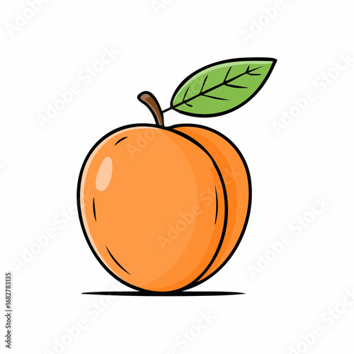 organic orange apricot isolated white background taste apricot with leaf full depth fi,illustration vector