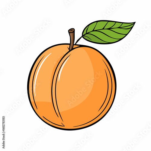 organic orange apricot isolated white background taste apricot with leaf full depth fi,vector illustration