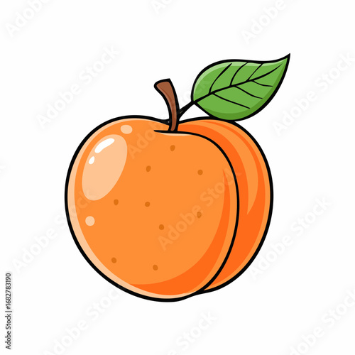 organic orange apricot isolated white background taste apricot with leaf full depth fi