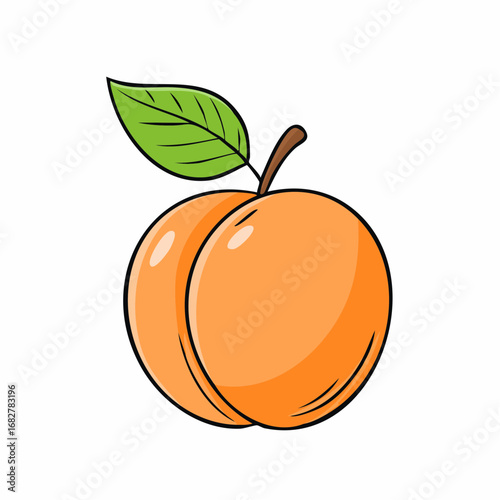 organic orange apricot isolated white background taste apricot with leaf full depth fi,vector svg