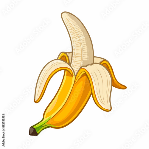 peeled banana fruit banana isolated with clipping path white,vector illustration
