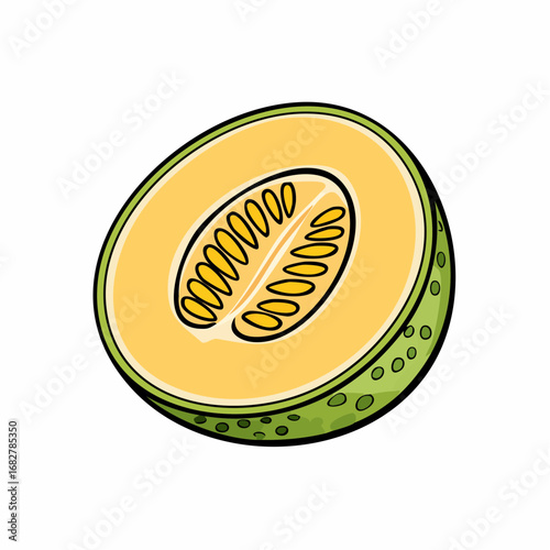 yellow galia melon isolated white background honeydew melon slice ,vector illustration