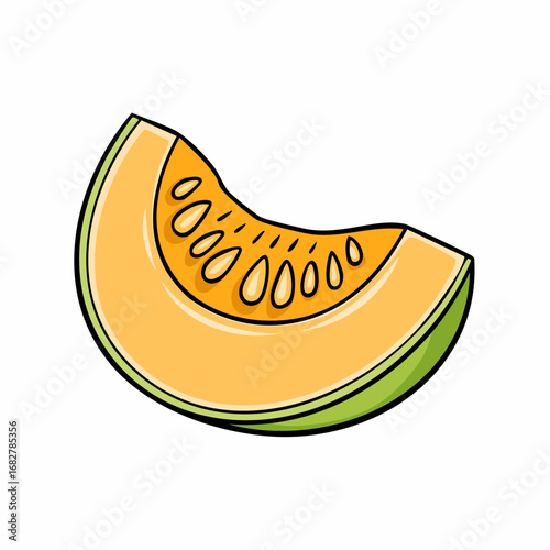 yellow galia melon isolated white background honeydew melon slice ,illustration vector