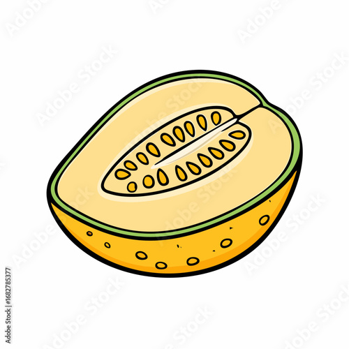 yellow galia melon isolated white background honeydew melon slice ,vector svg