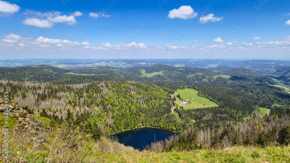 Obraz premium A scenic view of Feldsee on the Felberg peak in the Black Forest, Germany