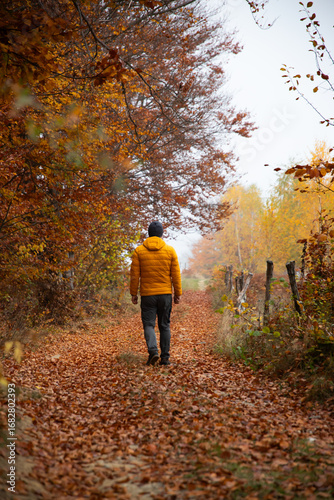 Man walking in a foggy autumn landscape