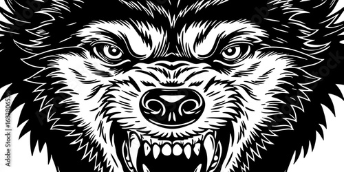 A highly detailed, realistic close-up of a snarling wolf's head. The wolf has sharp fangs, piercing eyes, and a fierce expression, showing aggression or readiness to defend. Its fur is thick and textu