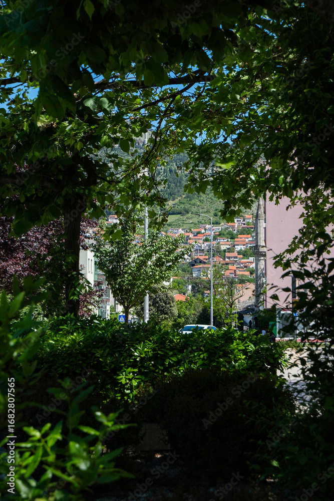 Fototapeta premium A view of Mostar, Bosnia and Herzegovina, framed by lush green trees and bushes. The background features colorful houses on a hillside under a clear blue sky.