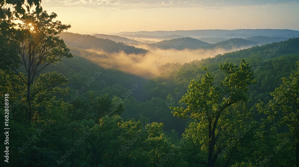 Fototapeta premium A tranquil vista of rolling hills blanketed by a soft morning mist, bathed in the golden hues of sunrise.