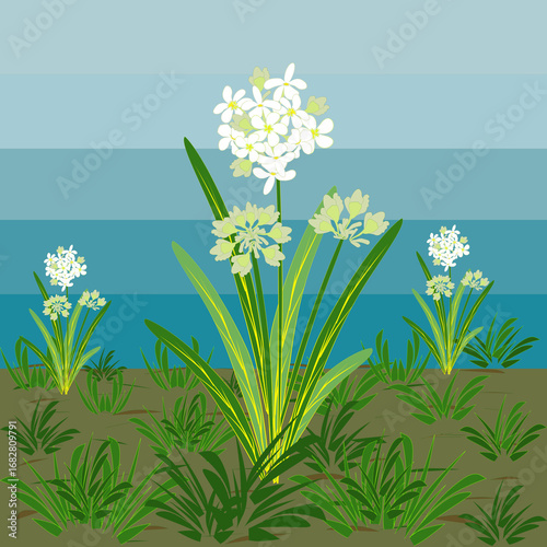 ​A digital painting of white flowers with green leaves in a field against a striped blue sky.
​Keywords