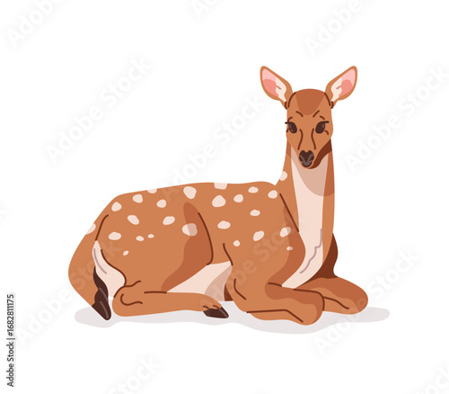 Doe of fallow deer with spotted coat is lying. Cute hind has a rest. Happy roe relaxes. Wild animal of forest. Fauna, wildlife of woodland. Flat isolated vector illustration on white background