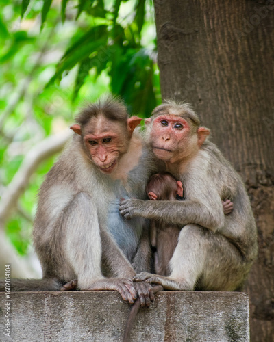 mother and baby