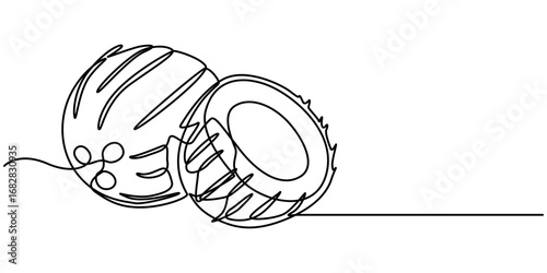 Coconut continuous one line drawing, Editable stroke. Outline coconut fruit collections isolated on a white background. Vector illustration. 