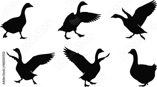 Goose silhouette set, flying and walking bird vector, black waterfowl clipart for farm, wildlife, migration, and nature design.