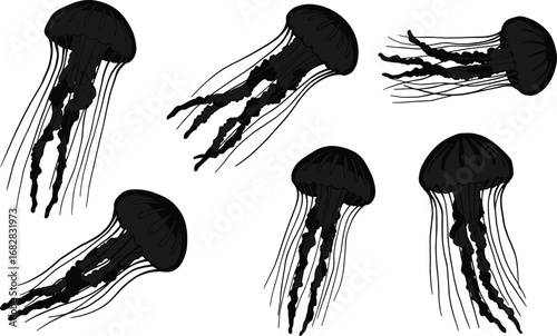Jellyfish silhouettes in various poses, marine life illustration, ocean animal design for art, education, underwater nature concept, sea creature theme