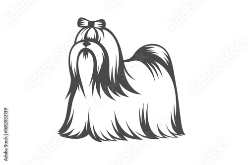 Shih Tzu Dog with Bow, Isolated Silhouette on White Background