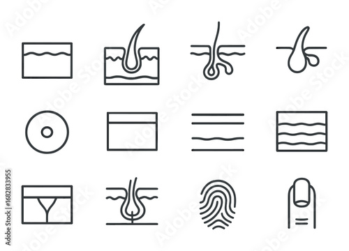 Skin Anatomy Icons. Outline icon set of skin anatomy poster: skin layers, hair follicle, sweat gland,