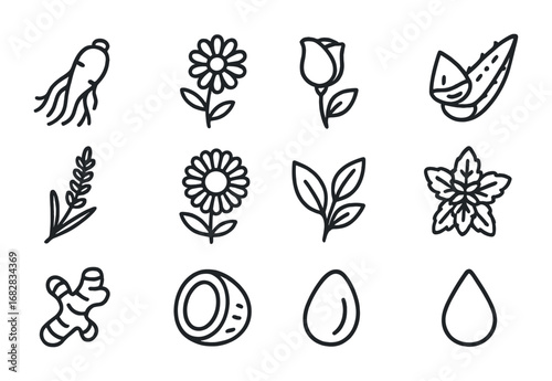Botanical Extract Icons. Outline icon set of botanical extracts: ginseng root, chamomile flower, rose petal,