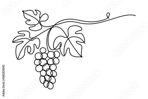 One Line Drawing of Grapes | Minimalist Fruit Vector Illustration