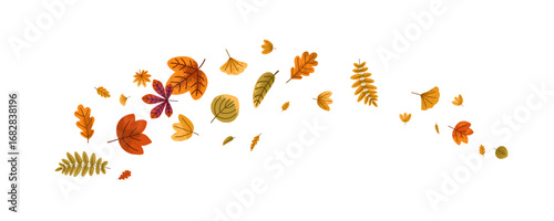 Fall leaves in air. Autumn foliage in dynamic motion, twirl, twist, swirl, cu...