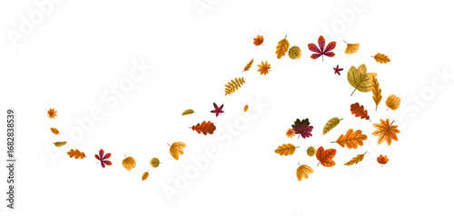 Fall leaves spinning, flying in air, wind gust. Autumn foliage falling with swirl, twirl, whirl and vortex effect. Leaf, dynamic seasonal pattern. Flat vector illustration isolated on white background