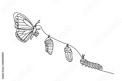 Minimalist Line Art of Caterpillar to Butterfly | One Line Life Cycle Illustration