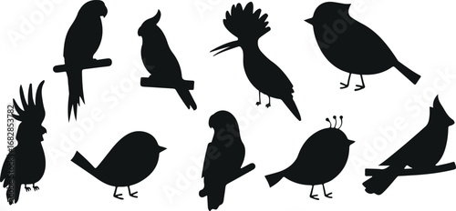 Exotic Bird Silhouettes – Hoopoe, Sparrow, Dove, Flying Birds, Sitting Birds, Tropical Birds, Black Shape, Minimal, Wildlife, Aviary, Decorative, Nature, Cartoon, Hand Drawn, Animal Icons, Vector, Bir