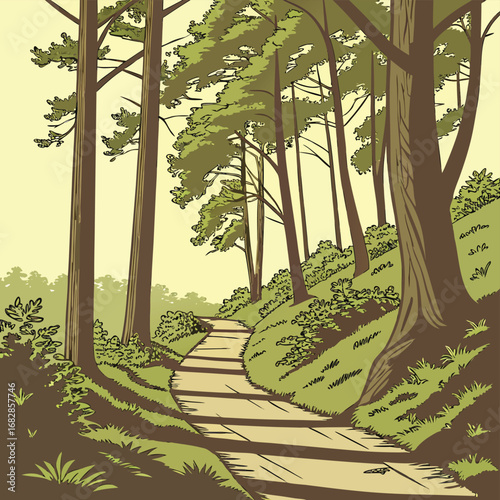 Forest Path: A scenic forest path meanders through a sun-dappled woodland, guiding the viewer's eye on a visual journey of exploration and serenity.