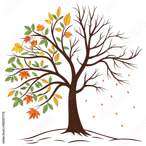 Seasonal Transition: A visually striking illustration depicts a majestic tree, half adorned with vibrant foliage of summer, while the other half reveals the stark, bare branches of winter.