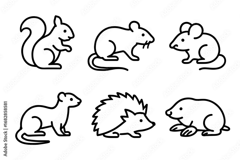 Obraz premium Set of black line illustrations of squirrel, mouse, rat, ferret, hedgehog, mole in simple style
