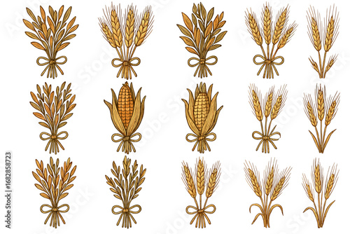 Assorted harvest: corn, wheat, and barley bundles in artistic display