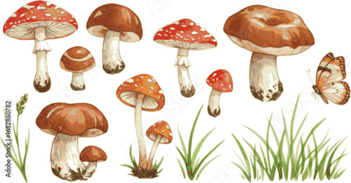 set of Mushrooms, grass and butterfly watercolor set elements. Template for decorating designs and illustrations.
