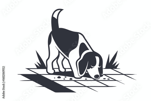 of Hunting Dog Sniffing Ground on White Background, Pavement