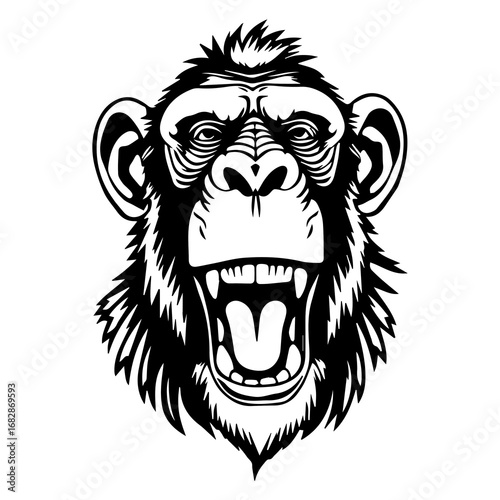 ape head sketch vector illustration