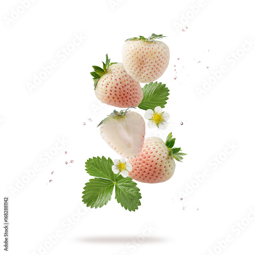 Whole and half white strawberry or pineberry berries with flowers and leaves flying falling isolated on white background.