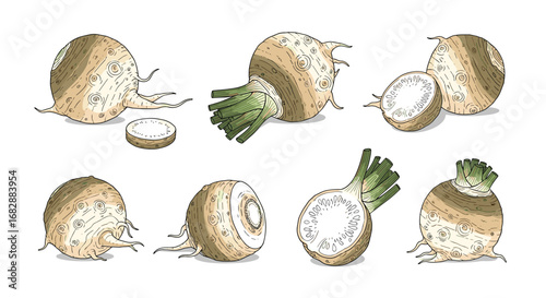 Collection of eight round vegetables with green leaves and root fibers showing variety in size and presentation