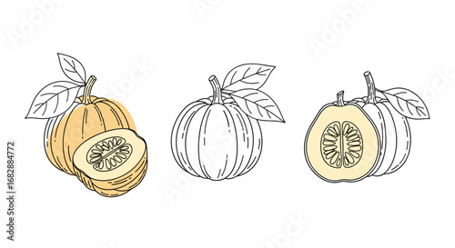 Deliciously sweet ripe cantaloupe fruit with green leaves a juicy summer melon for healthy eating
