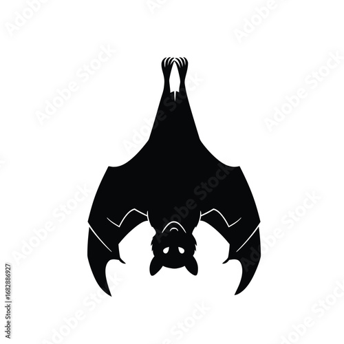 Black bat hanging upside down vector silhouette