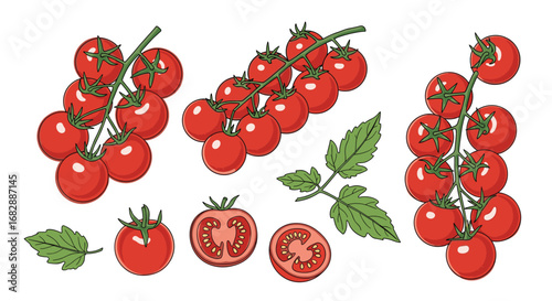 Fresh ripe red cherry tomatoes and leaves on stems for healthy cooking and salads