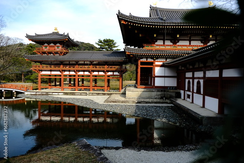 日本、京都、平等院、佛寺、寺院、文化財、木造建築、古代建築、日本文化、歷史名勝、文化財、木、綠色、青空、写真素材