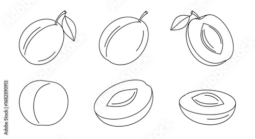 An overview of plums showing whole fruit cut in half and seeded varieties for healthy eating