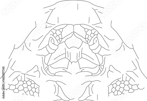 jojo (89)_vector.eps