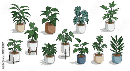 Vibrant collection of potted houseplants with modern ceramic planters in isometric style